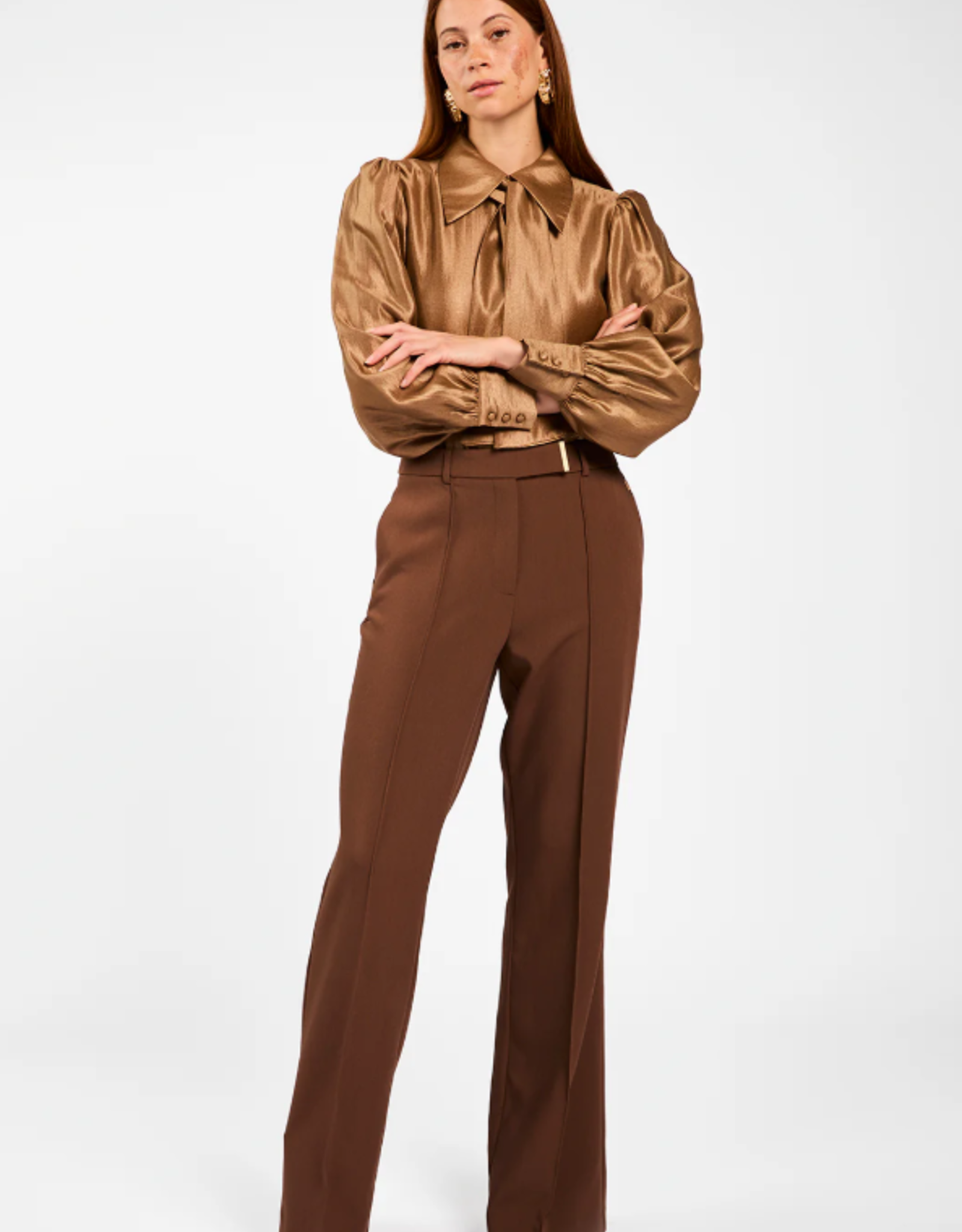 Aaiko Chantalle Trousers Pinecone