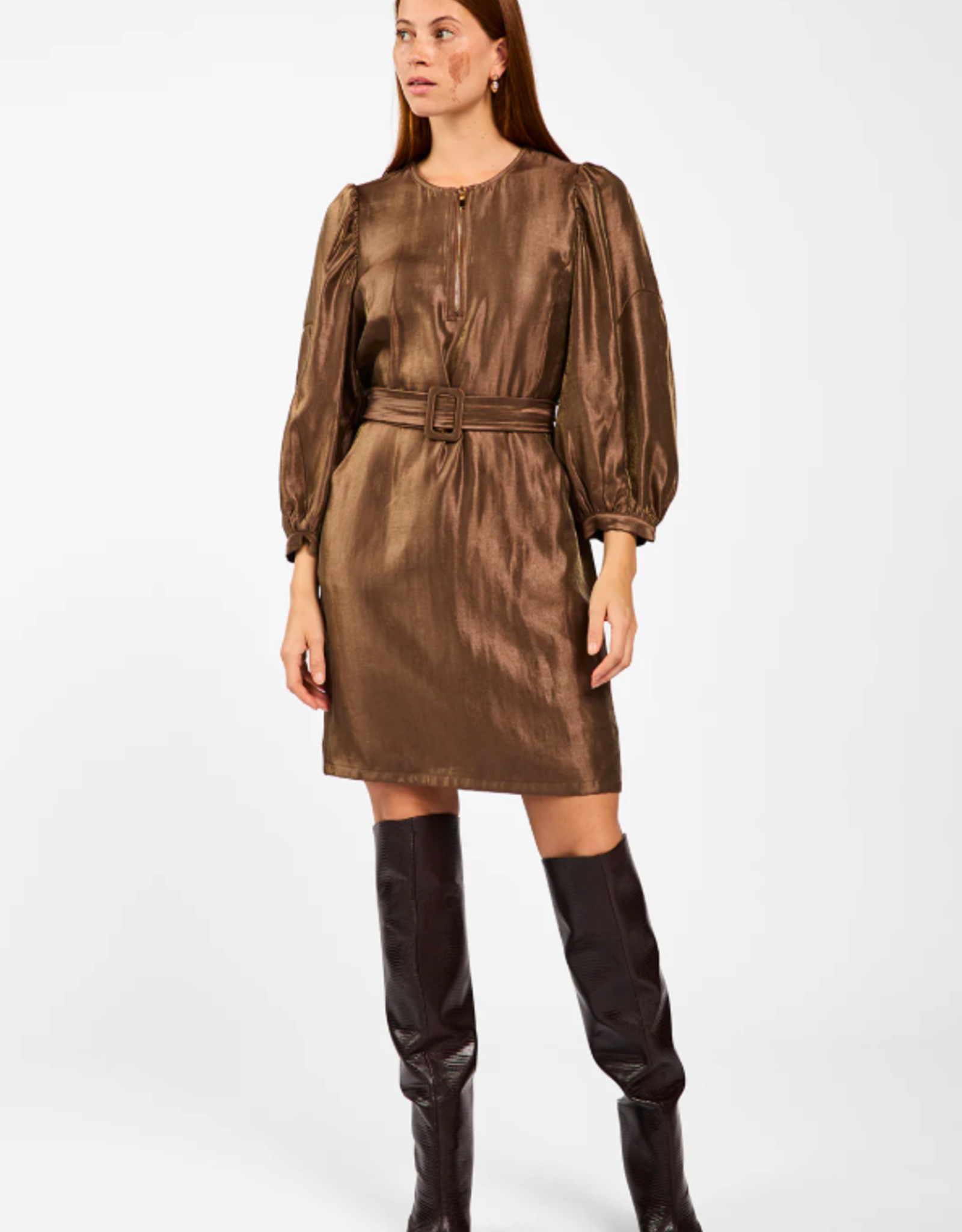 Aaiko Semira Shine Dress Pinecone