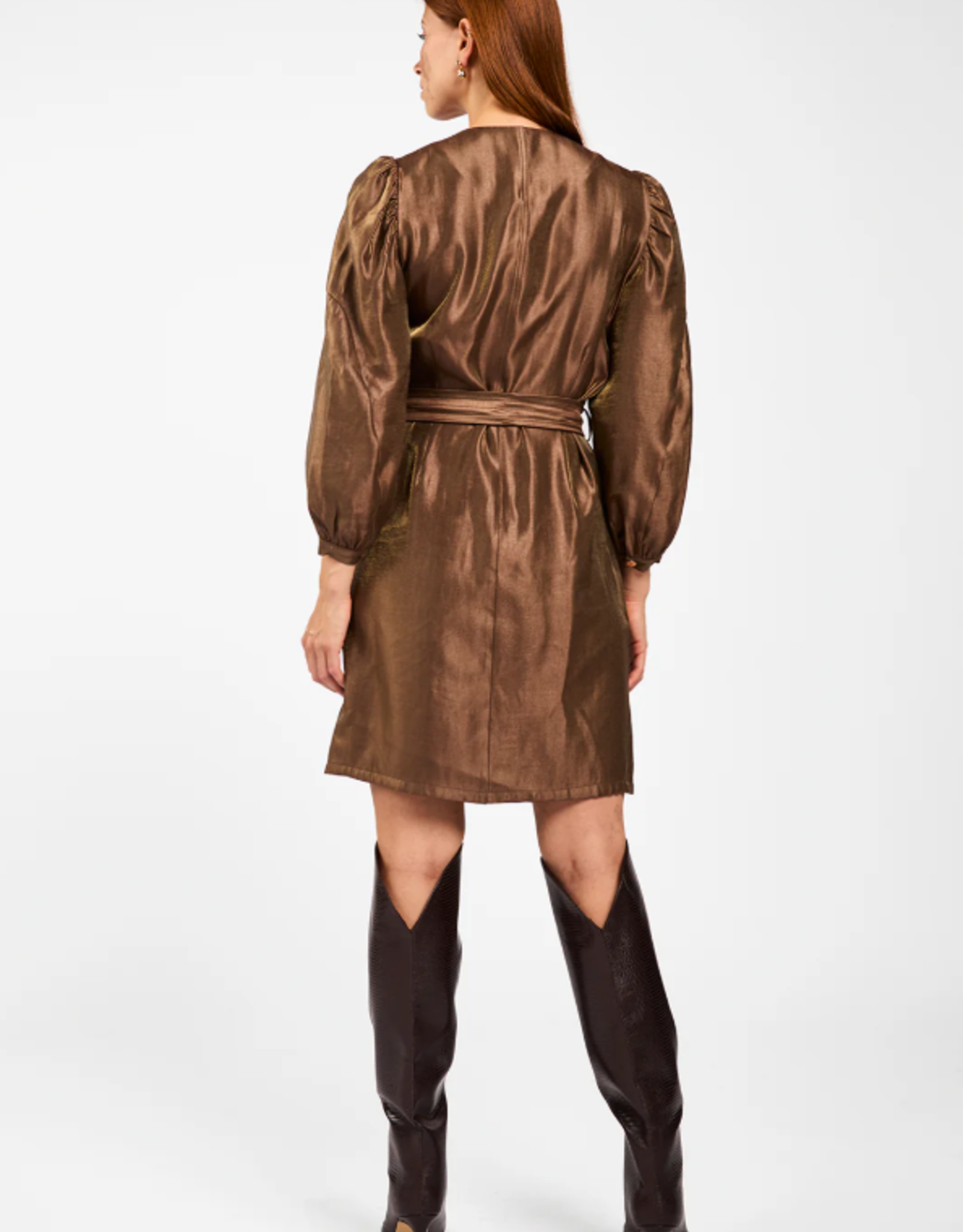 Aaiko Semira Shine Dress Pinecone