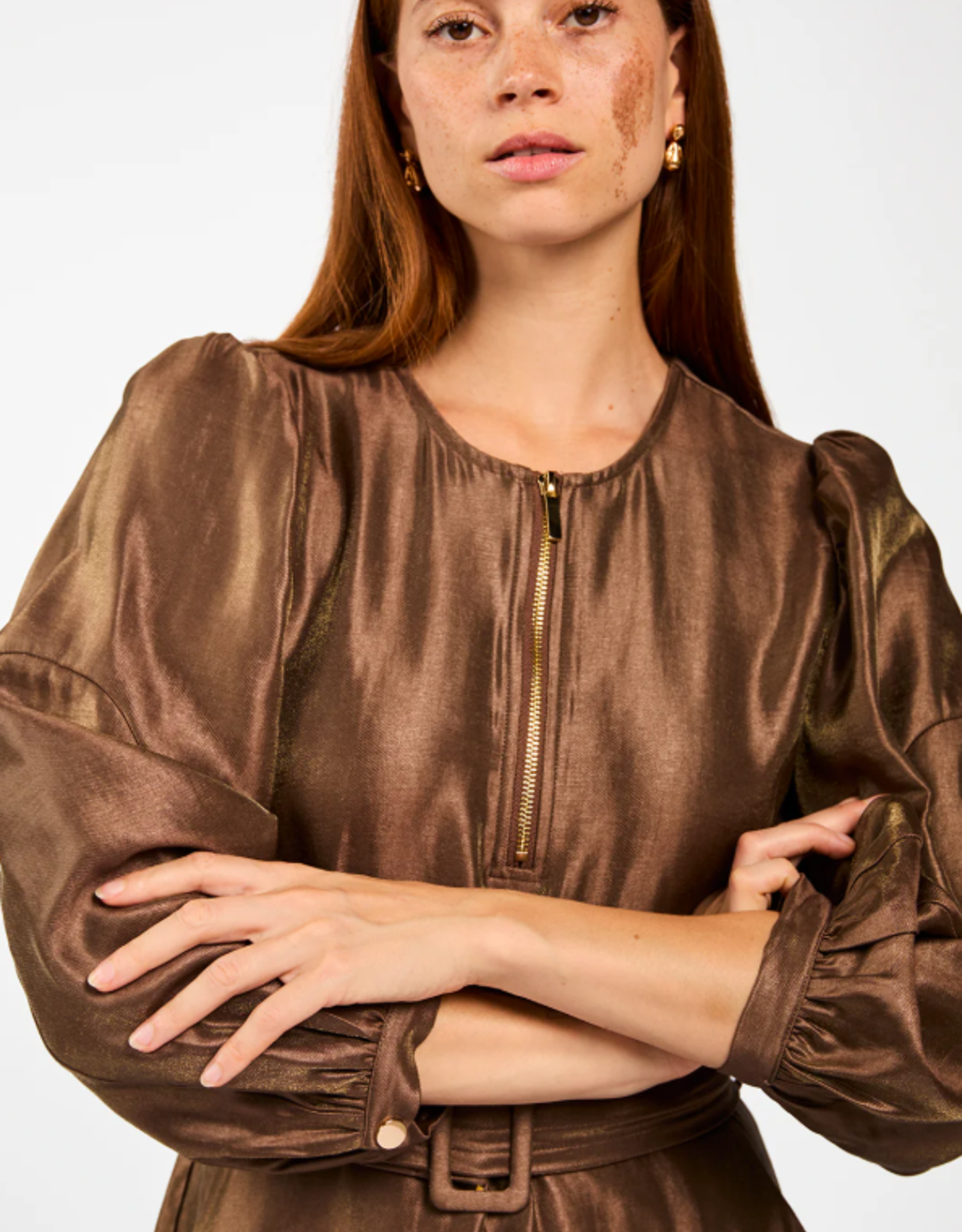 Aaiko Semira Shine Dress Pinecone