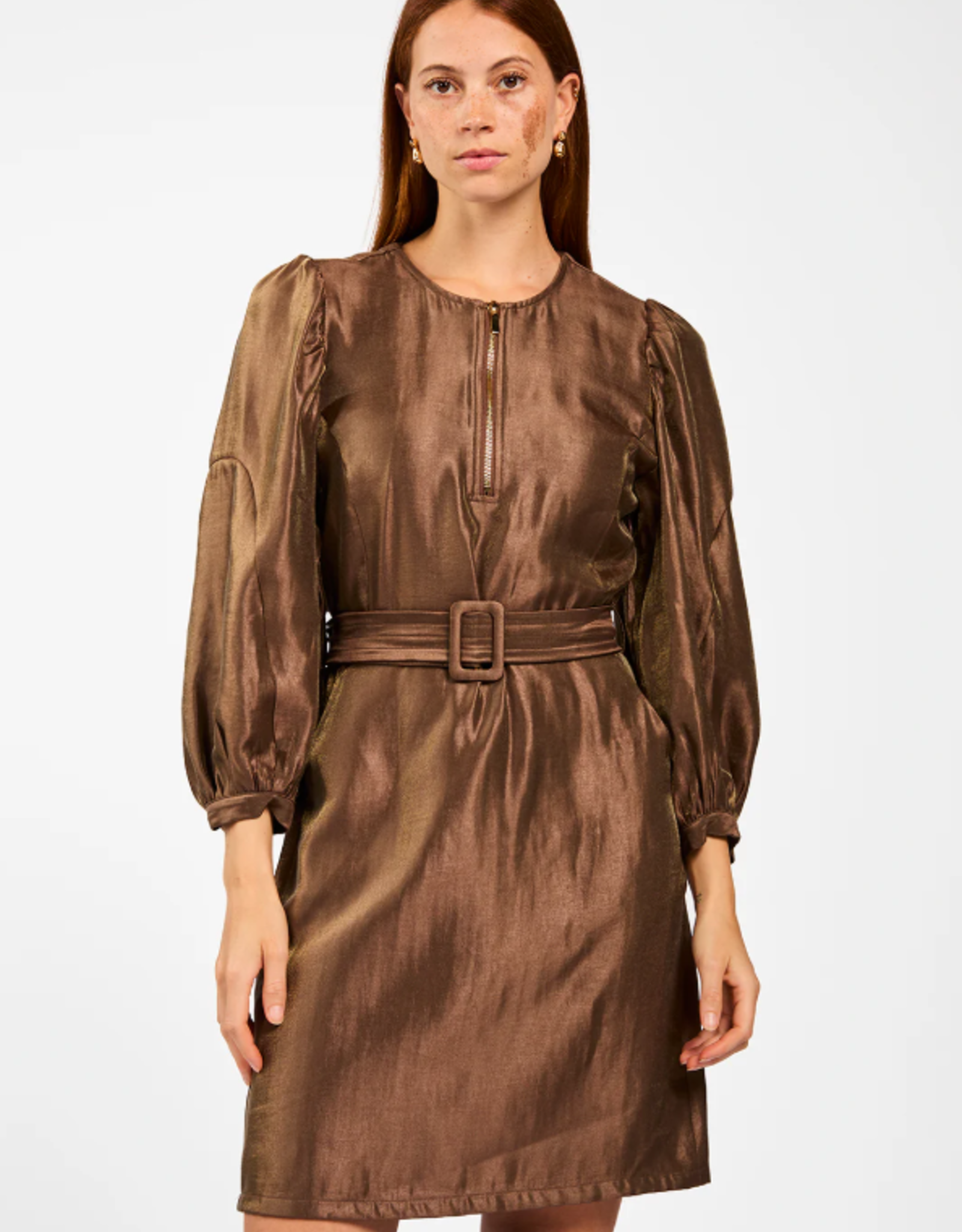 Aaiko Semira Shine Dress Pinecone