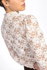 Aaiko Tory Lace Top Cream
