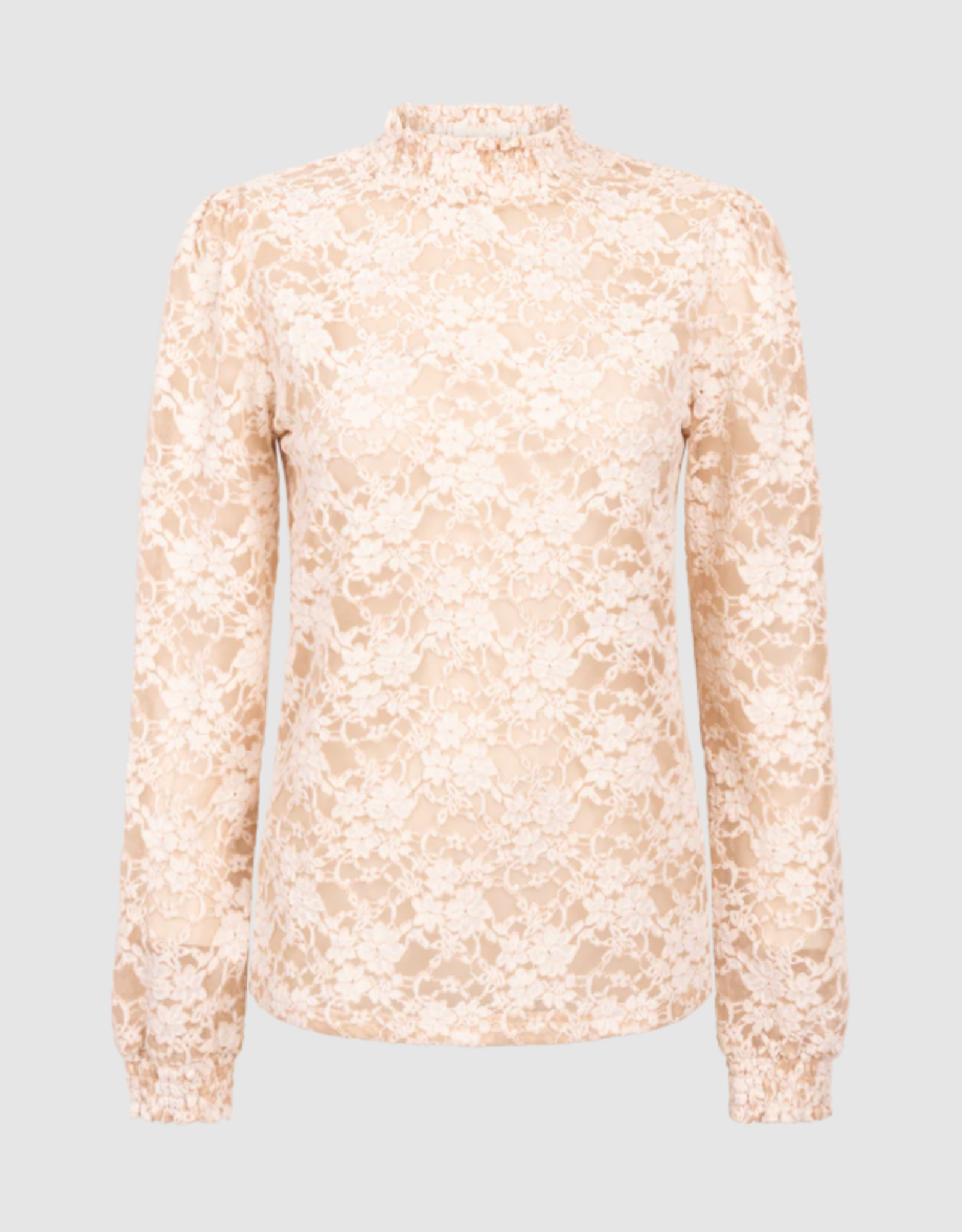 Aaiko Tory Lace Top Cream