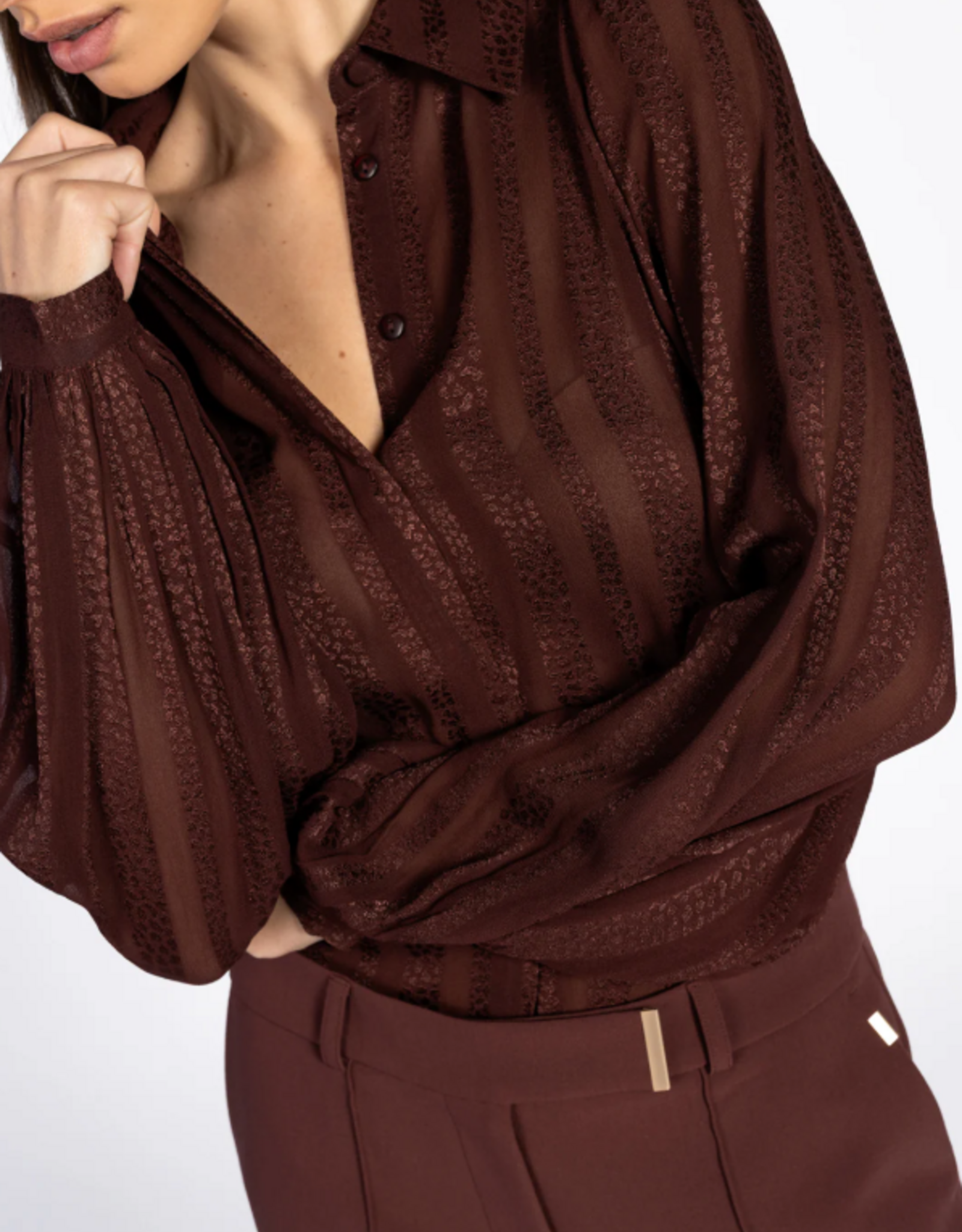 Aaiko Rose Stripe Blouse Spicy Chocolate