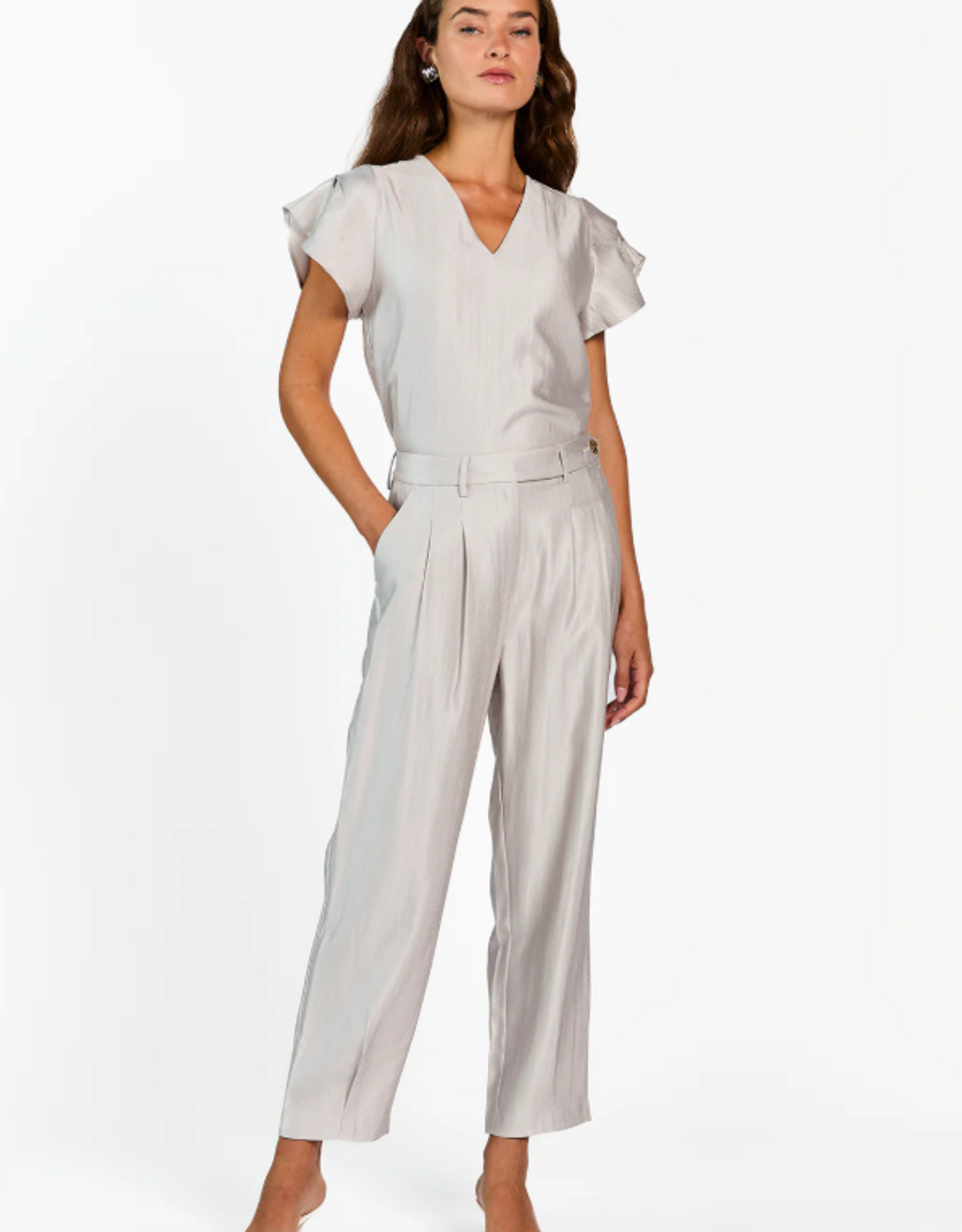 Aaiko Minny Shimmery Top Silver