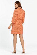Aaiko Semira Lace Dress Sun Baked