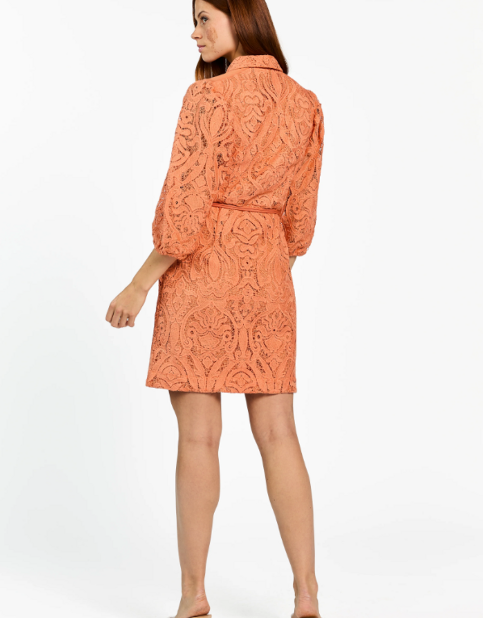 Aaiko Semira Lace Dress Sun Baked