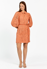 Aaiko Semira Lace Dress Sun Baked