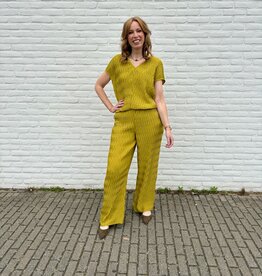 Dante 6 Vikli Pleated V-Neck Top Solar Lime