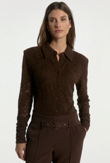 Aaiko Vigo Lace Top Fudge