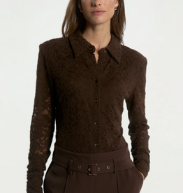 Aaiko Vigo Lace Top Fudge