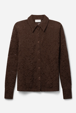 Aaiko Vigo Lace Top Fudge