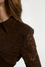 Aaiko Vigo Lace Top Fudge