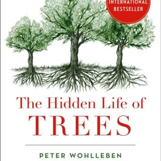 Peter Wohlleben The Hidden Life of Trees
