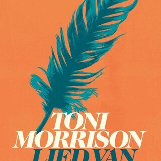 Toni Morrison Lied van Solomon