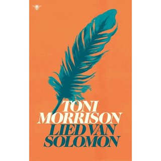 Toni Morrison Lied van Solomon