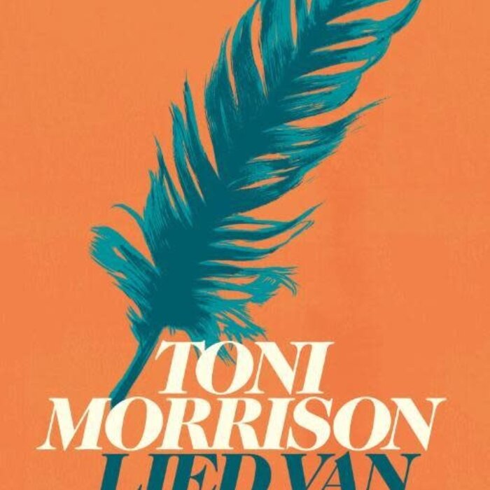 Toni Morrison Lied van Solomon