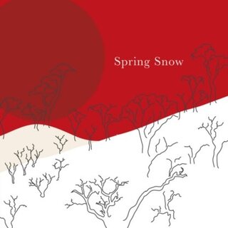 Yukio Mishima Spring Snow