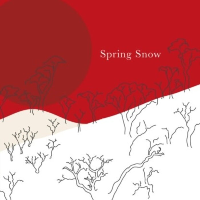 Yukio Mishima Spring Snow