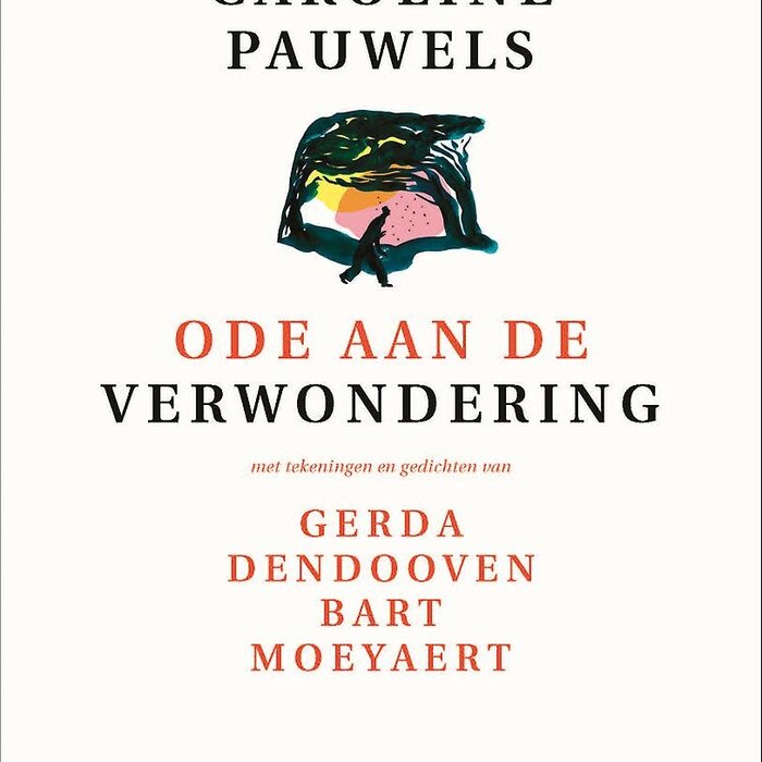 Caroline Pauwels Ode aan de verwondering: nieuwe editie