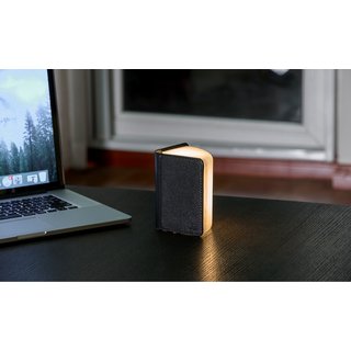 Smart Book Light (Fibre Leather) - Mini Black