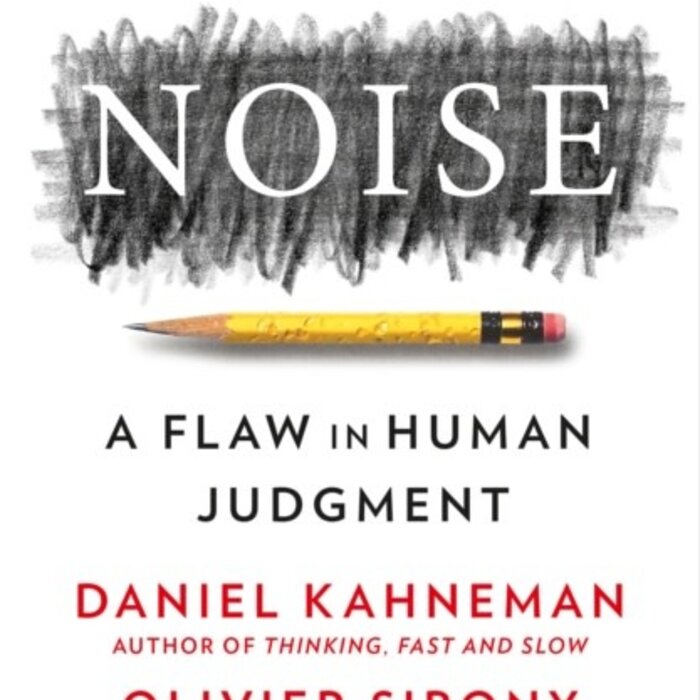 Daniel Kahneman Noise: A Flaw in Human Judgment