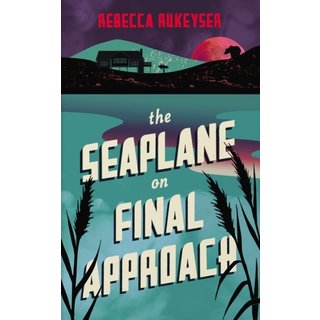 The Seaplane on Final Approach