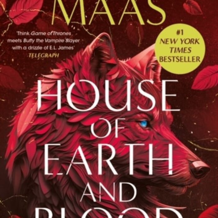 Sarah J. Maas House of Earth and Blood (Crescent City 1)