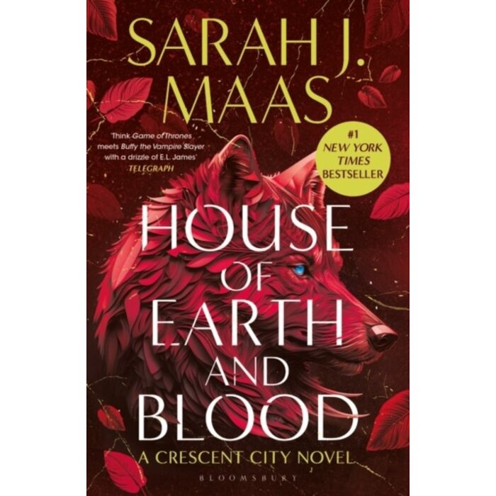Sarah J. Maas House of Earth and Blood (Crescent City Book 1)