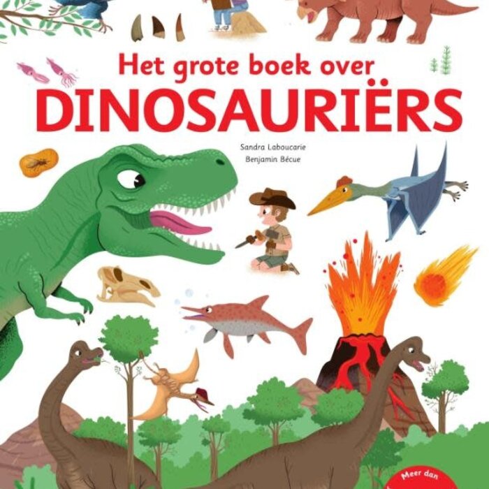 Het grote boek over dinosauriërs