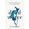 Dead Water : A novel of folk horror