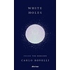 White Holes: Inside the Horizon