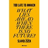 Too Late to Awaken: What Lies Ahead When There is No Future?