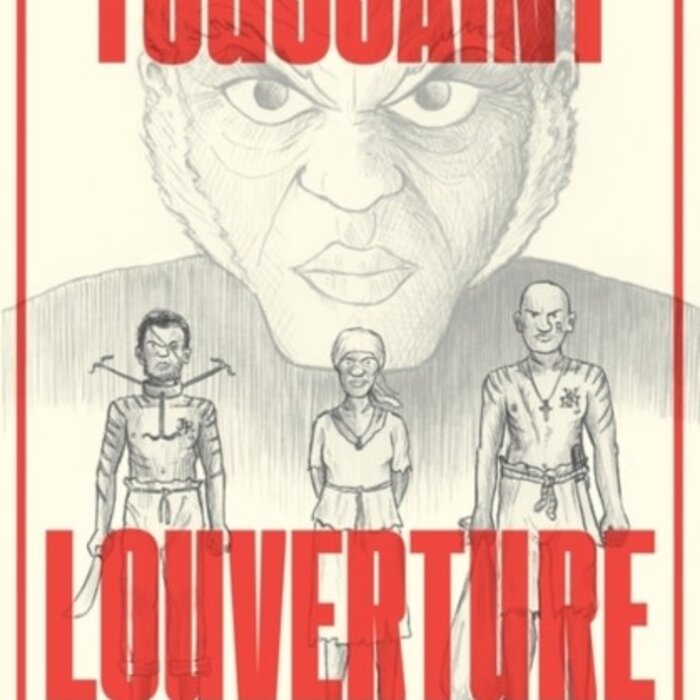 Toussaint Louverture : The Story of the Only Successful Slave Revolt in History