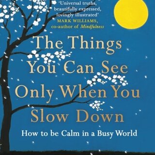The Things You Can See Only When You Slow Down : How to be Calm in a Busy World