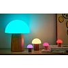 Alice Mushroom Lamp