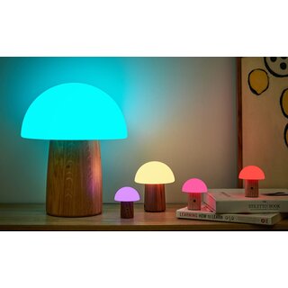 Alice Mushroom Lamp