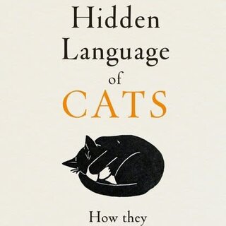 The Hidden Language of Cats: Learn what your feline friend is trying to tell you