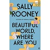 Beautiful World, Where Are You (Hardback)