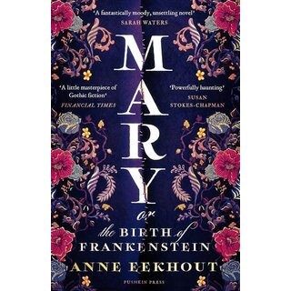 Mary : or, the Birth of Frankenstein