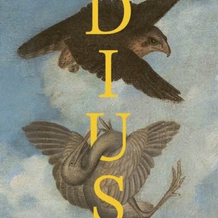 Stefan Hertmans Dius