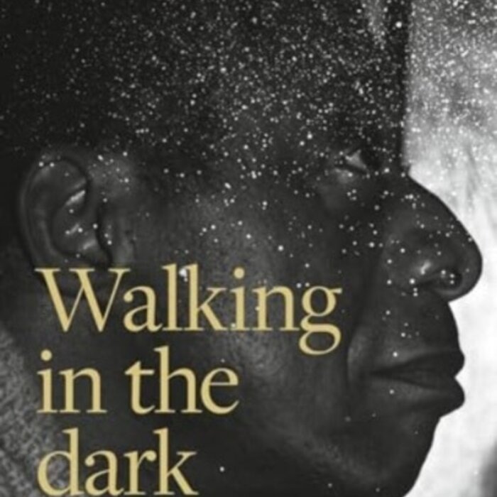 Walking in the Dark : James Baldwin, My Father, and Me