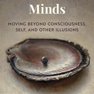 Our Fictional Minds : Moving Beyond Consciousness, Self, and Other Illusions