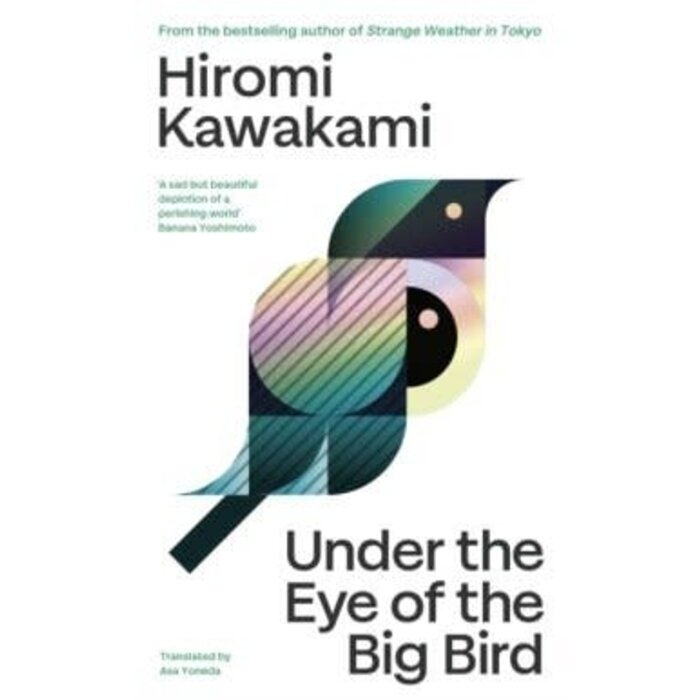 Under the Eye of the Big Bird