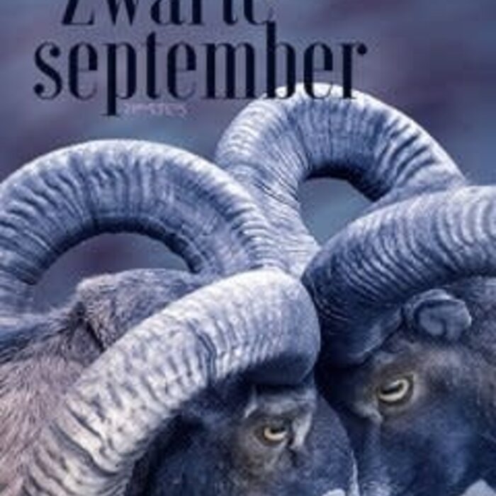 Sandro Veronesi Zwarte september