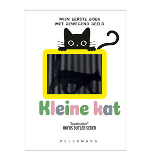 Kleine kat