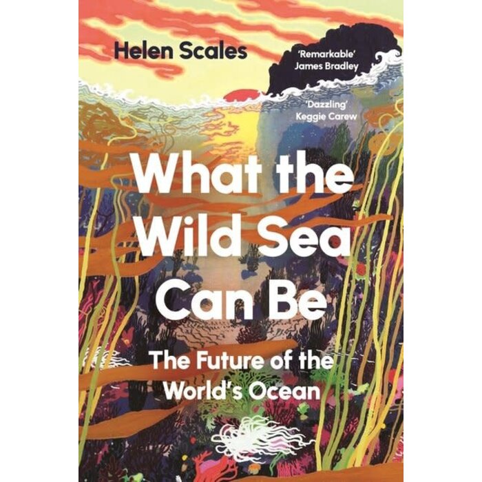 What the Wild Sea Can Be
