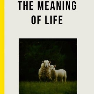 The Meaning of Life : the true ingredients of fulfilment