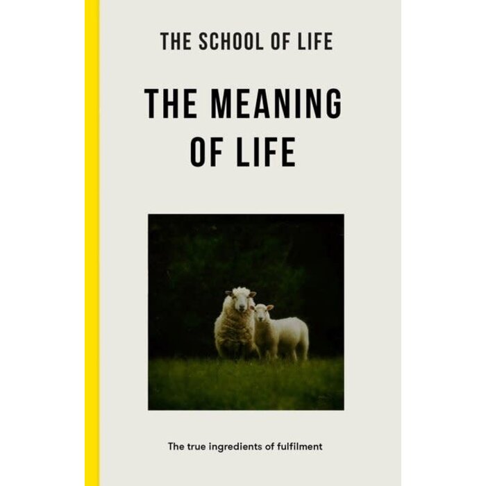 The Meaning of Life : the true ingredients of fulfilment