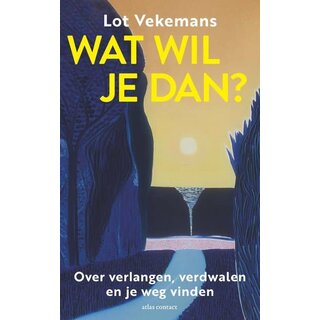 Wat wil je dan?